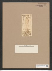 Navicula chimmoana O'Meara (de-Toni-Nr.: Genus 1, Species 238) Zeichnungen Sammlung Grunow Nr. 570 (NHMW-BOT-W0366925)